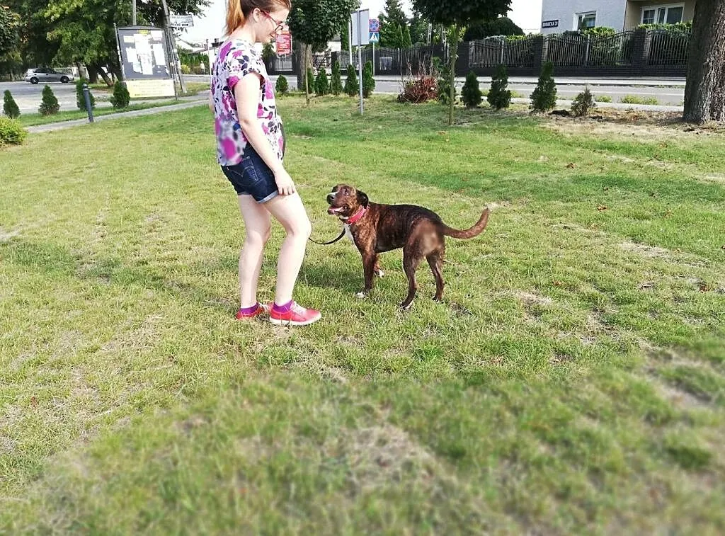 kto da domek radosnej Sawanie?, Mazowieckie, Warszawa