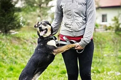 Wila - dla fajnej rodzinki :)