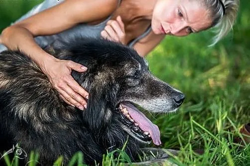 Aslan - w jego spojrzeniu można utonąć:),  mazowie