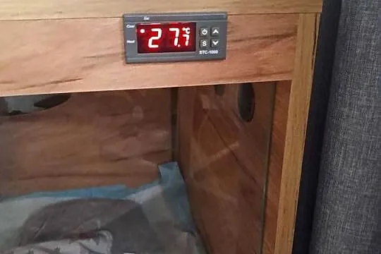 wyposażenie  specjalistyczne dla jeża pigmejskiego, jeż za darmo, Świętokrzyskie, Sandomierz
