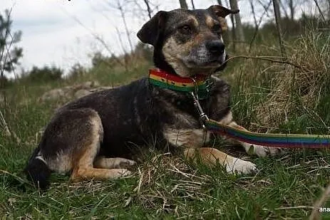 Zuza - niewielka, uwierzyła w człowieka , teraz cz