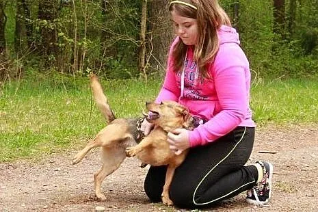 Klara - mała sunia czeka na DOM,  pomorskie Gdańsk