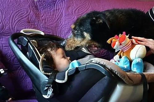 Baks. Nie sposób go nie pokochać!,  mazowieckie Wa