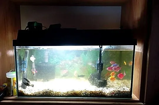 Sprzedam akwarium 50l+ rybki