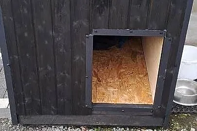 Buda dużego psa