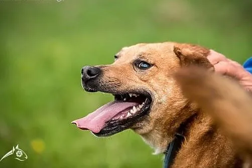 Pokochaj MARIUSZA co rozbawia i wzrusza :),  święt