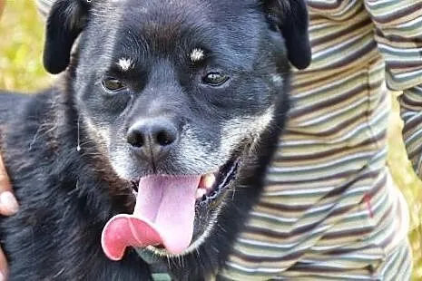 Pieszczoszek i aniołek czeka za kratami już 6 lat 