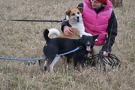 Mały Akni zaczyna wierzyć, że spędzi w schronisku 