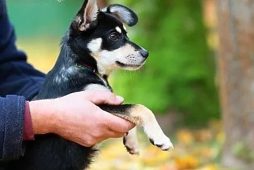 Maluśka, czteromiesięczna dziecina - Petka :),  wa