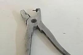 Kolczykownica