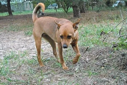 Malutka Lila tak bardzo kocha ludzi