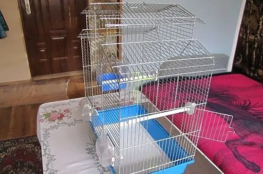 Klatka dla ptaków, Kujawsko-pomorskie, Toruń