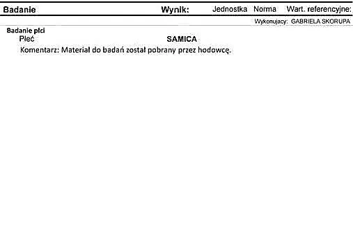 Aleksandretta Wielka Większa, Wielkopolskie, Ostroróg
