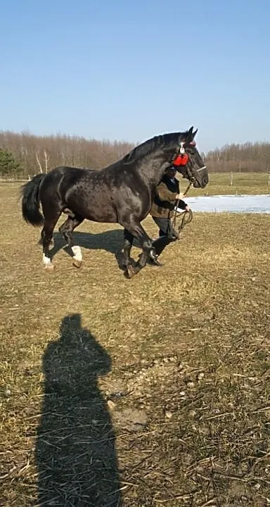 Stanówka