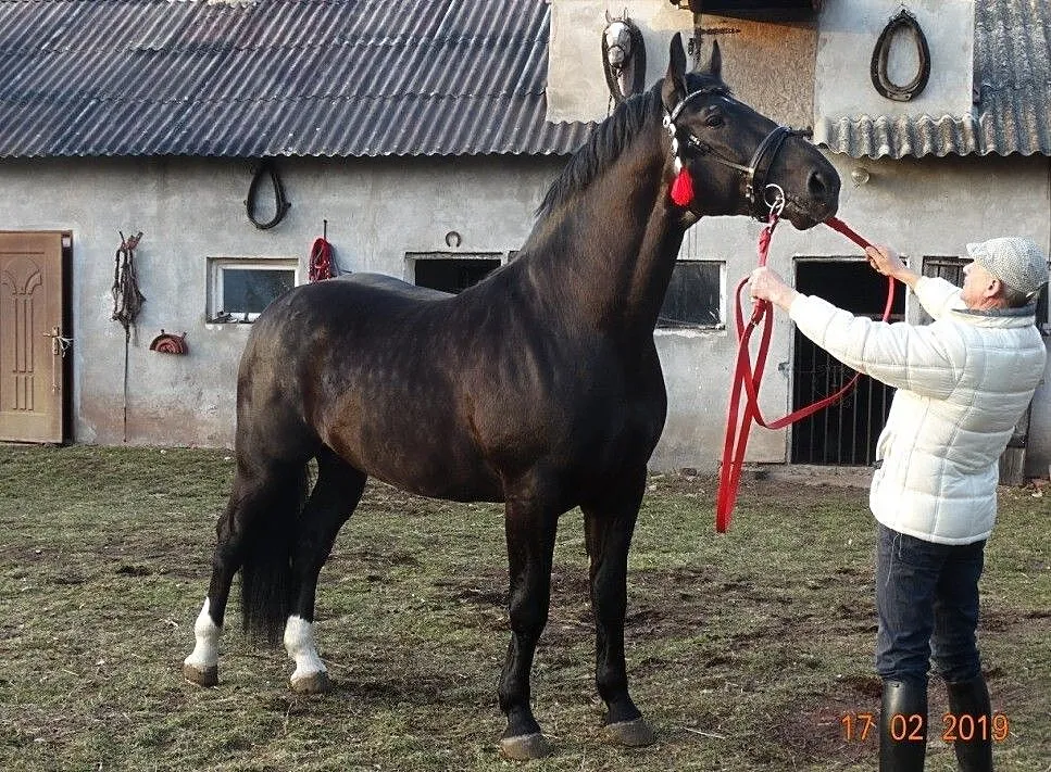 Stanówka