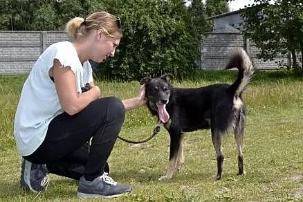 Irysek spędza w schronisku zimę - marznie, moknie,