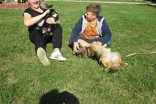 Dwa cuda do adopcji od zaraz :),  Kundelki cała Polska