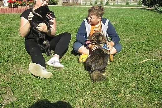 Dwa cuda do adopcji od zaraz :),  Kundelki cała Po