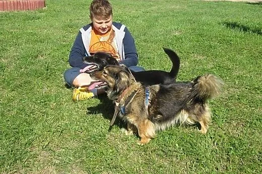 Dwa cuda do adopcji od zaraz :),  Kundelki cała Po