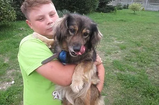Dwa cuda do adopcji od zaraz :),  Kundelki cała Po