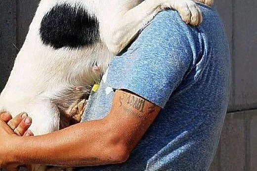 BIANKA nietuzinkowa, młodziutka sunia kochająca lu