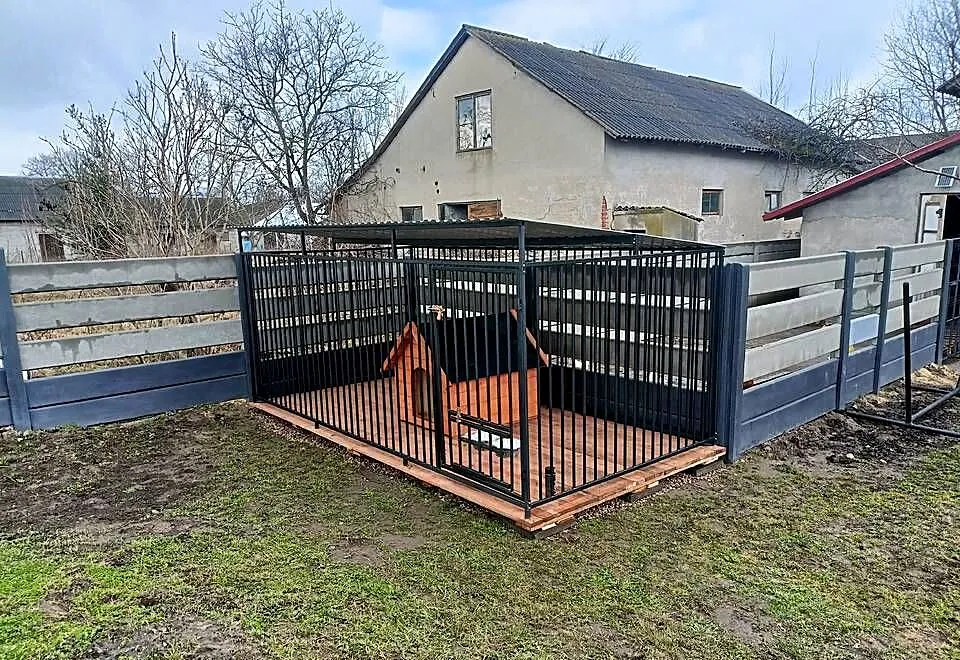 Kojec 4x2 ( transport), Podkarpackie, Krosno