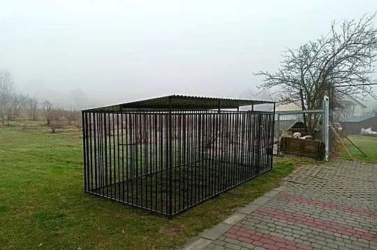 Kojec 4x2 ( transport), Podkarpackie, Krosno