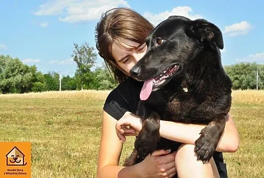 Przyjazna, wesoła Marta do pokochania, do adopcji!