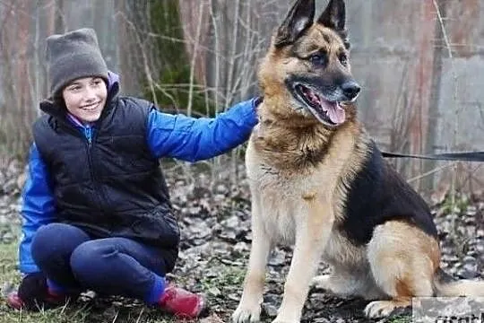 Czy ktoś mnie pokocha ??? Zadzwoń daj mi domek, , Wrocław