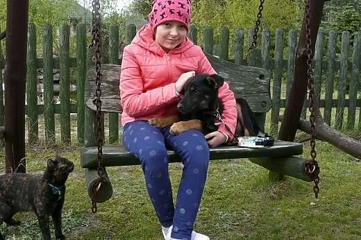 Kapsel szczeniak z Radys Pilne,  mazowieckie Warsz