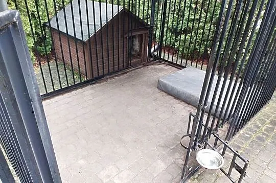 Buda dla psa, duża, ocieplana plus podest, Kujawsko-pomorskie, Bydgoszcz