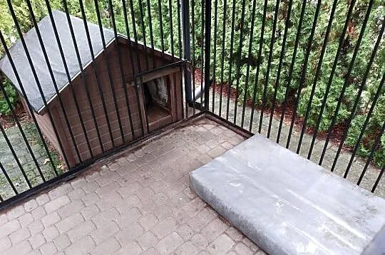 Buda dla psa, duża, ocieplana plus podest, Kujawsko-pomorskie, Bydgoszcz