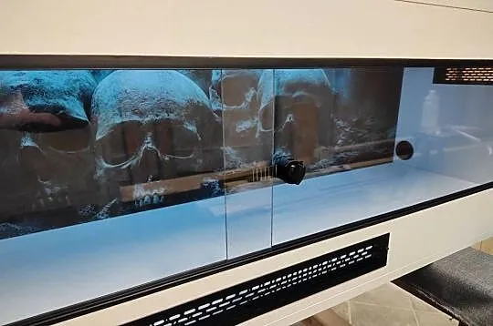 Terrarium LED pyton siatkowy teju agama gekon żółw, Śląskie, Siemianowice Śląskie