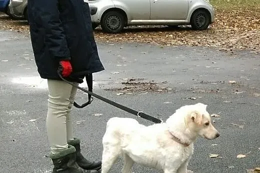 Nela szuka przewodnika,  mazowieckie Warszawa