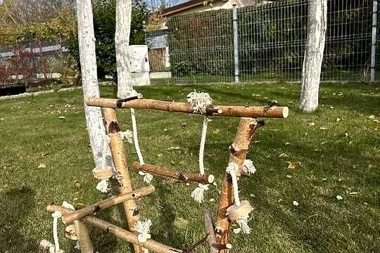 Plac zabaw dla mniejszych papug