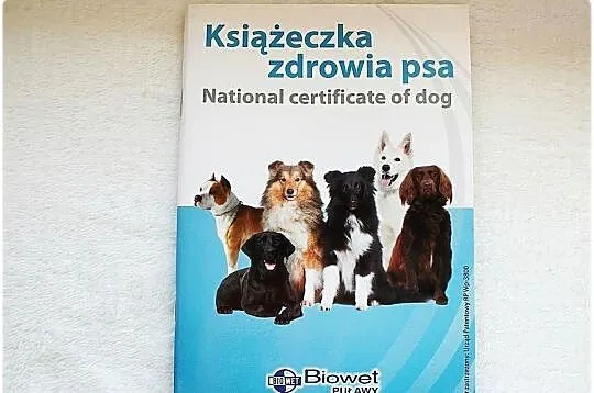 Książeczka Zdrowia Psa rasy średniej - mix ras Nowa, Lubuskie, Lubsko