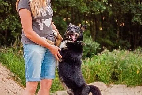 Nero &#8211; bardzo tęskni za prawdziwym domem