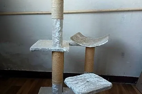 Drapak dla kota