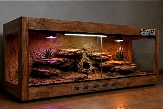 Terrarium profesjonalne dla gekona lamparciego żółwia greckiego