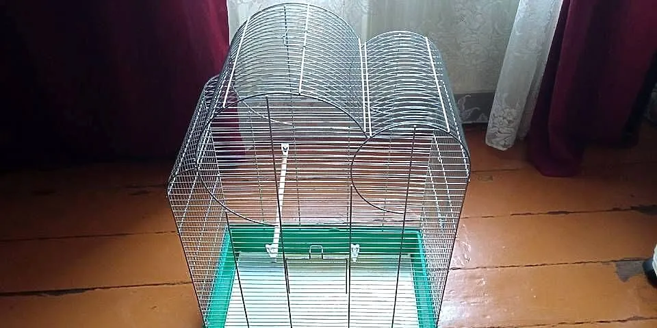 Klatka dla gryzoni 75cm sprzedam, Dolnośląskie, Wrocław