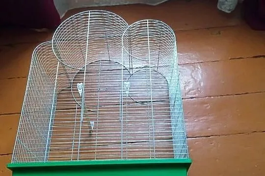 Klatka dla gryzoni 75cm sprzedam, Dolnośląskie, Wrocław