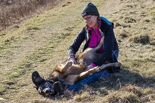 MACZO- błekitnooki wesoły psiak czeka na fajnego człowieka, Śląskie, Sosnowiec