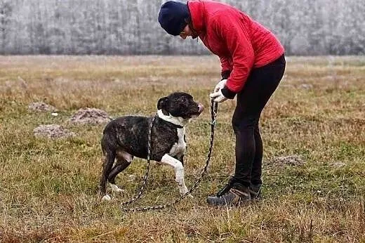 Spokojny i grzeczny Gustaw zza krat wypatruje domu