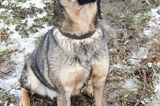 MRÓWKA - CZEKA JUŻ TAK DŁUGO, DAJ JEJ DOM!!!,  maz