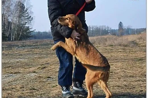 LEJLA przyjaciółka dla całej rodziny,  dolnośląski