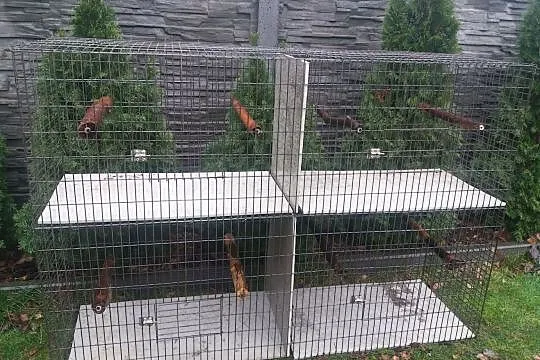 Klatka do Papug Papuga Papugi Duża, , Buk