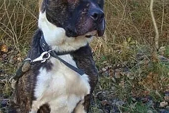 Gustaw szuka swojego miejsca na Ziemi...,  śląskie