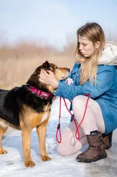 Lina - czułość na czterech łapkach BŁAGA o dom!  Siedem lat życia…A z tego kilka w schroniskowym bok, , Bydgoszcz
