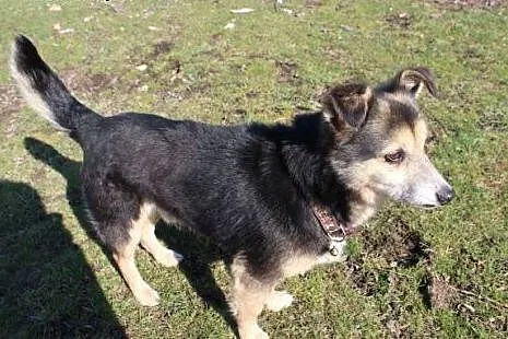 Pokonał dramatyczne chwile a teraz szuka człowieka