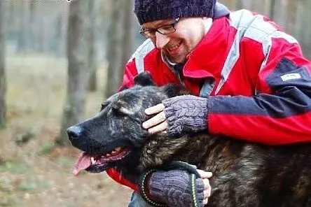 Brutus czeka na dom,  mazowieckie Warszawa